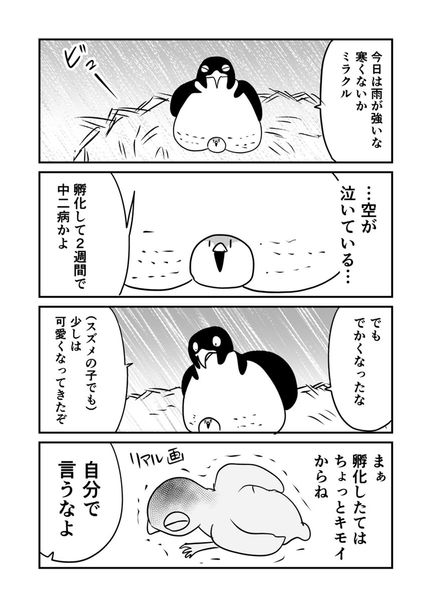 1話（3ページ目）