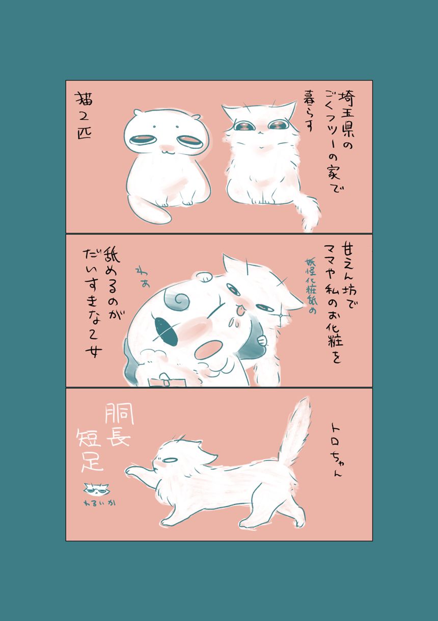 猫との暮らしとお別れについて（1ページ目）