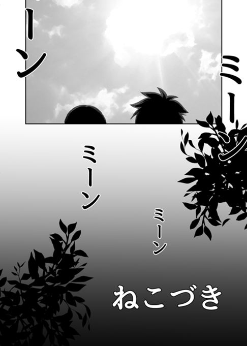 ねこづき